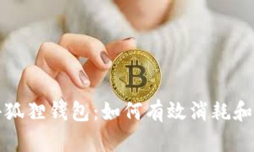 bianoti小狐狸钱包：如何有效消耗和管理USDT
