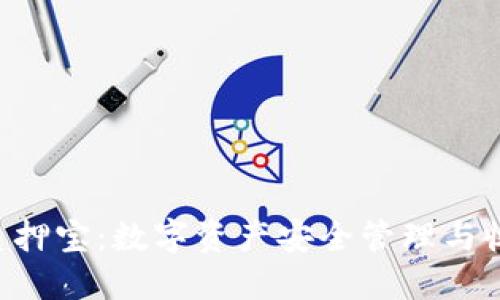 TokenPocket质押宝：数字资产安全管理与收益获取新选择