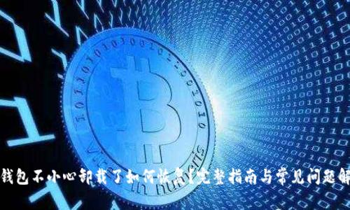 TP钱包不小心卸载了如何恢复？完整指南与常见问题解答
