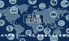 北斗世联 token 钱包：全面