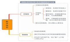 如何查看比特币钱包的公钥：详细指南与常见问