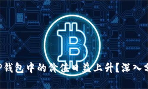 FIL币为何在TP钱包中的价值日益上升？深入分析与未来展望