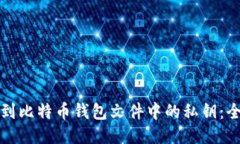 如何找到比特币钱包文件
