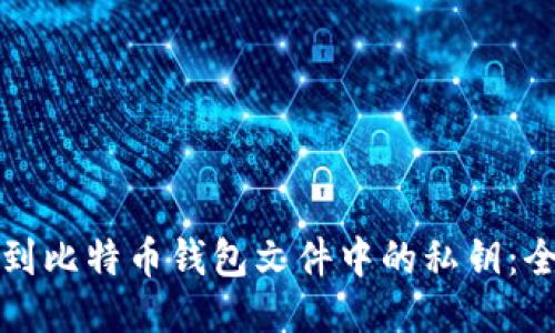 如何找到比特币钱包文件中的私钥：全面指南