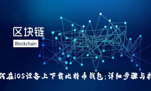 如何在iOS设备上下载比特币钱包：详细步骤与指南
