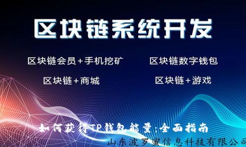 如何获得TP钱包能量：全面指南