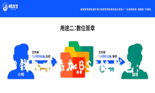 如何在TP钱包中添加BSC链钱包：全面指南