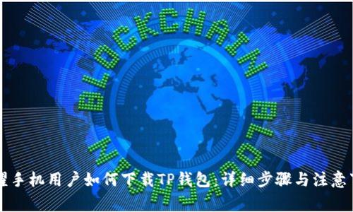 荣耀手机用户如何下载TP钱包：详细步骤与注意事项