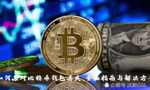 如何应对比特币钱包丢失：全面指南与解决方案