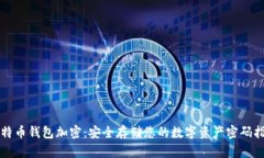 比特币钱包加密：安全存储您的数字资产密码指