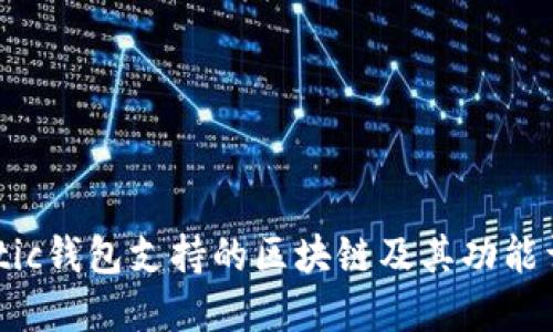 Matic钱包支持的区块链及其功能详解