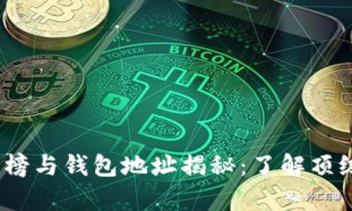 2023年比特币富豪榜与钱包地址揭秘：了解顶级投资者的财富密码