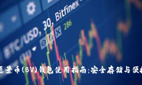 比特愿景币(BV)钱包使用指南：安全存储与便捷交易