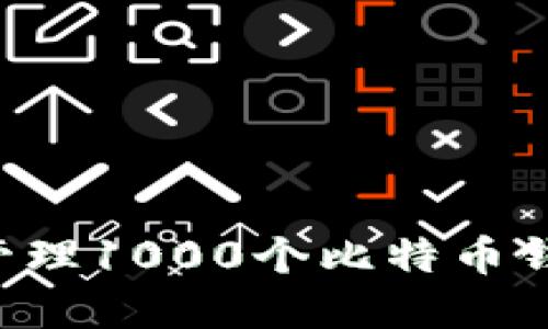 如何选择和管理1000个比特币钱包：全面指南