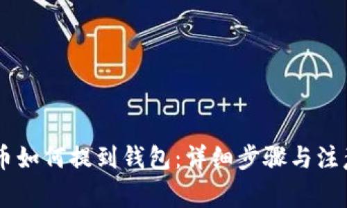 SHIB币如何提到钱包：详细步骤与注意事项