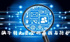 TP钱包被骗子转走资金的原