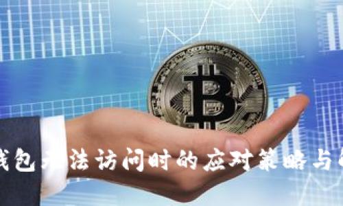 比特币钱包无法访问时的应对策略与解决方案