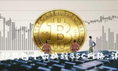 如何在TP钱包中切换到BS