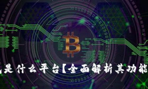 OP钱包是什么平台？全面解析其功能与应用