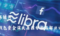 及关键词TP钱包资金消失原因分析与解决方案