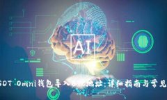 如何将USDT Omni钱包导入BTC地址：详细指南与常见