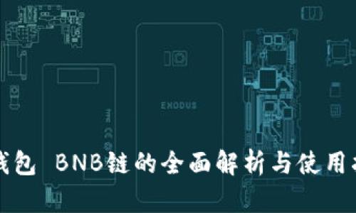 TP钱包 BNB链的全面解析与使用指南