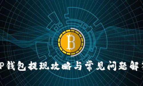 TP钱包提现攻略与常见问题解答