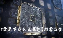 转USDT需要下载什么钱包？推荐及使用指南