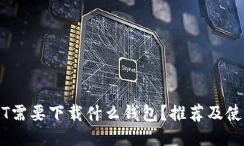 转USDT需要下载什么钱包？推荐及使用指南