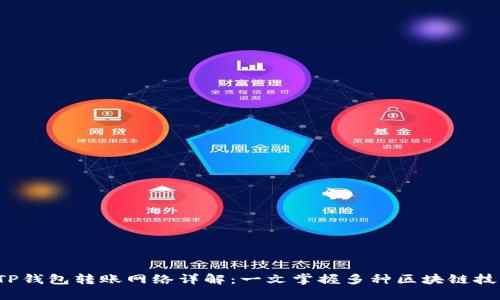  TP钱包转账网络详解：一文掌握多种区块链技术