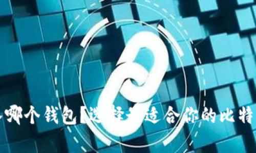 比特币存入哪个钱包？选择最适合你的比特币钱包指南