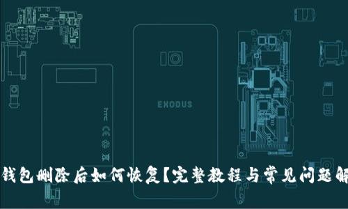 TP钱包删除后如何恢复？完整教程与常见问题解析