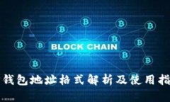 TP钱包地址格式解析及使用
