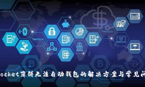 TokenPocket薄饼无法自动钱包的解决方案与常见问题解析