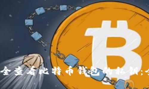 :如何安全查看比特币钱包的私钥：全面指南