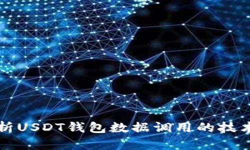 全面解析USDT钱包数据调用的技术与应用