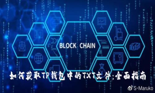 如何获取TP钱包中的TXT文件：全面指南