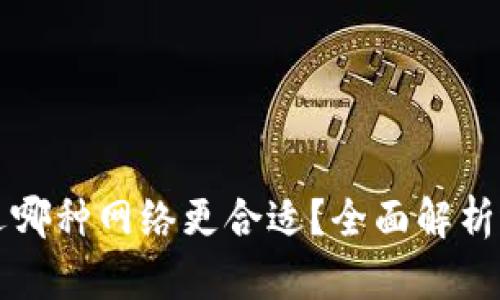 TP钱包选哪种网络更合适？全面解析选择指南