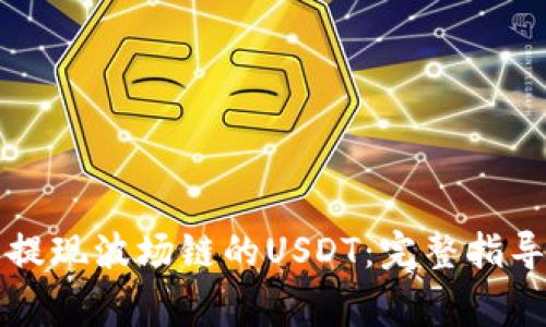 如何在TP钱包中提现波场链的USDT：完整指导与常见问题解答