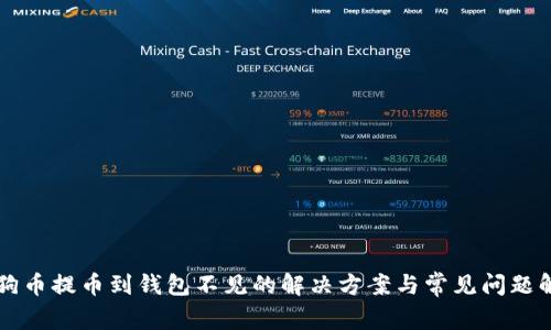狗狗币提币到钱包不见的解决方案与常见问题解析