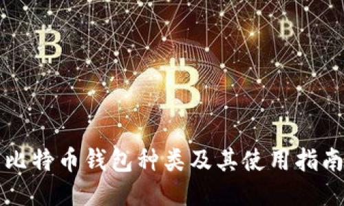 比特币钱包种类及其使用指南