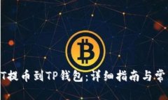 如何将USDT提币到TP钱包：详细指南与常见问题解